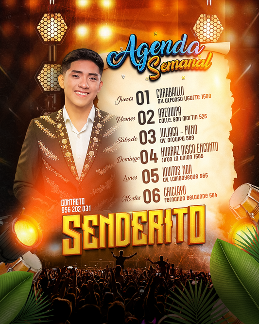 391. Flyer para cantante