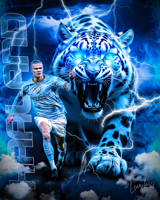 454. Diseño de fotomontaje