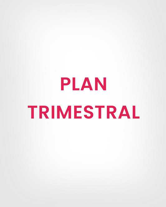 Plan Trimestral